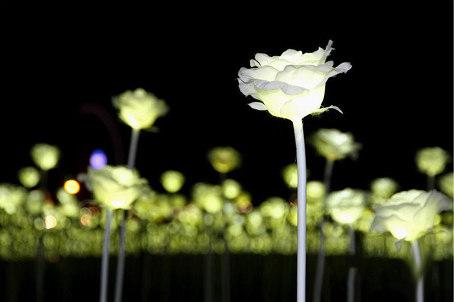 LED玫瑰花彩燈