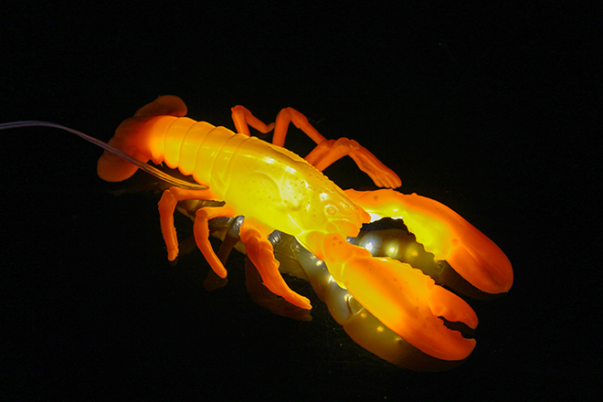 LED龍蝦燈